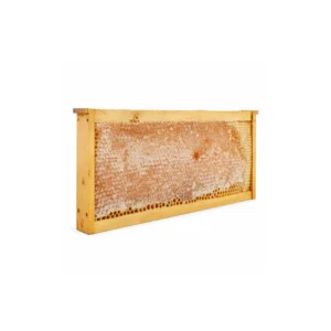 Miel en panal cruda de La Colmena de Teo con cera natural comestible y estructura hexagonal construida por las abejas