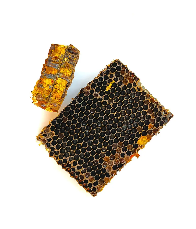 Celdillas de panal llenas de pan de abeja fermentado natural