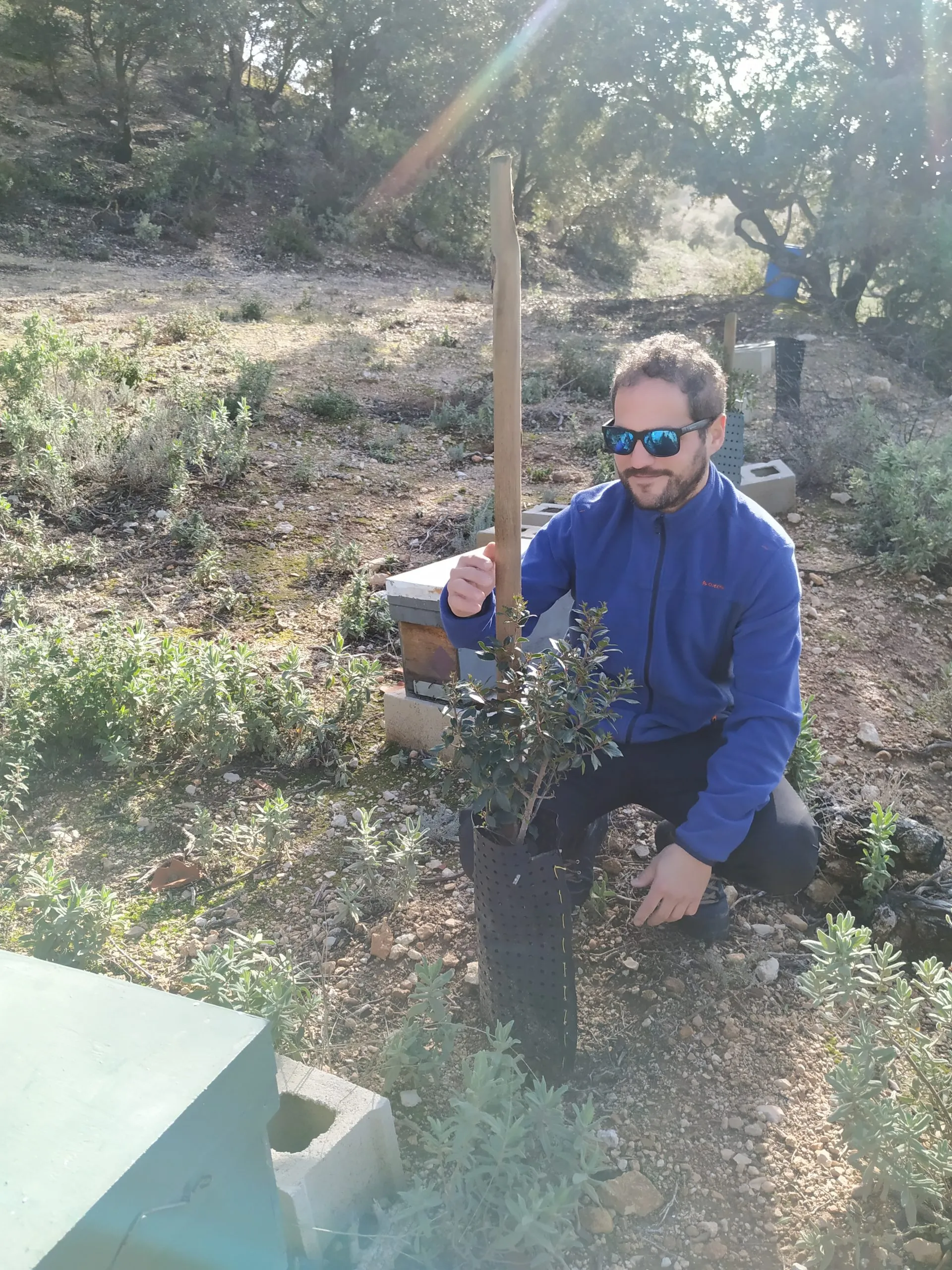 Sierra del Moralejo en Estepa dentro del Proyecto Honey Box