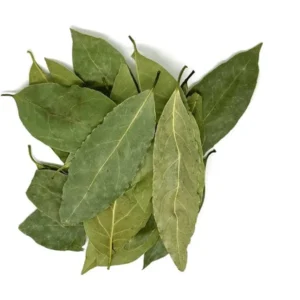 Laurel